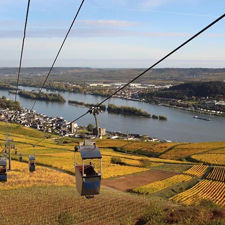 Da Toni Chiara Ruedesheim am Rhein